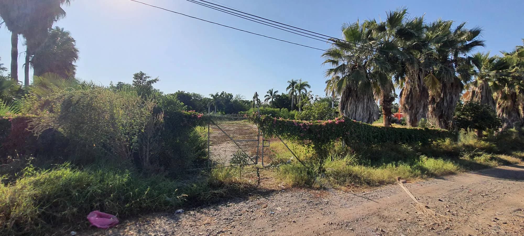 TERRENO URBANO EN RENTA COMERCIAL E INDUSTRIAL SOBRE LA INTERNACIONAL